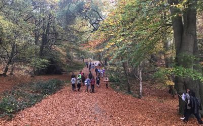 Key Stage 2 Epping Forest Field Study November 2025