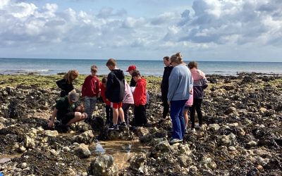 Aylmerton Residential June 2025