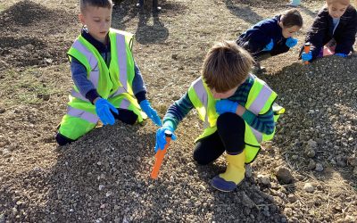 Local Archaeological Dig Site Visit September 2025